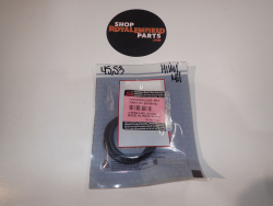 Fuel Lever Sensor ORing- Himalayan411