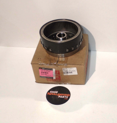 Rotor Assembly 575166/A